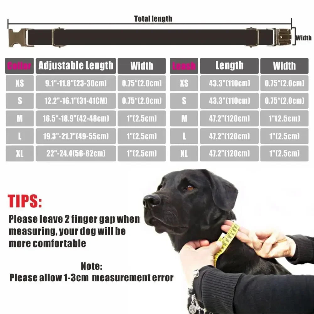 Personalized Dog Collar Custom Puppy - MyPetDollar.com