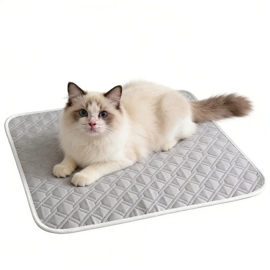 Dog Cooling Mat Summer Pet Cold Bed 45x35cm - MyPetDollar.com