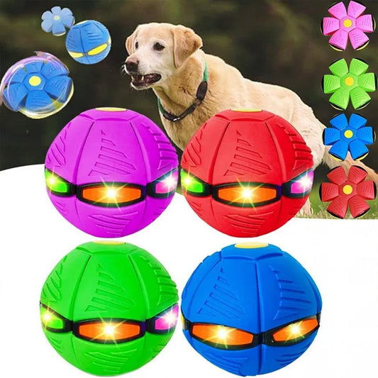 Dog Toys Flying UFO Morph Ball Outdoor - MyPetDollar.com