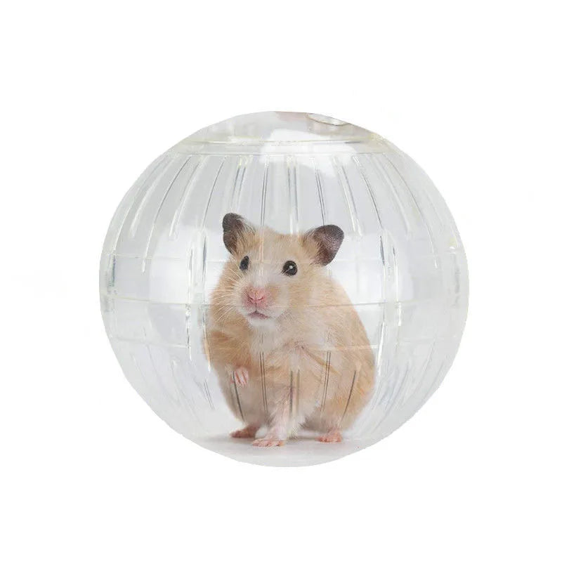 Hamster Treadmill Plastic Round Ball Toy for - MyPetDollar.com