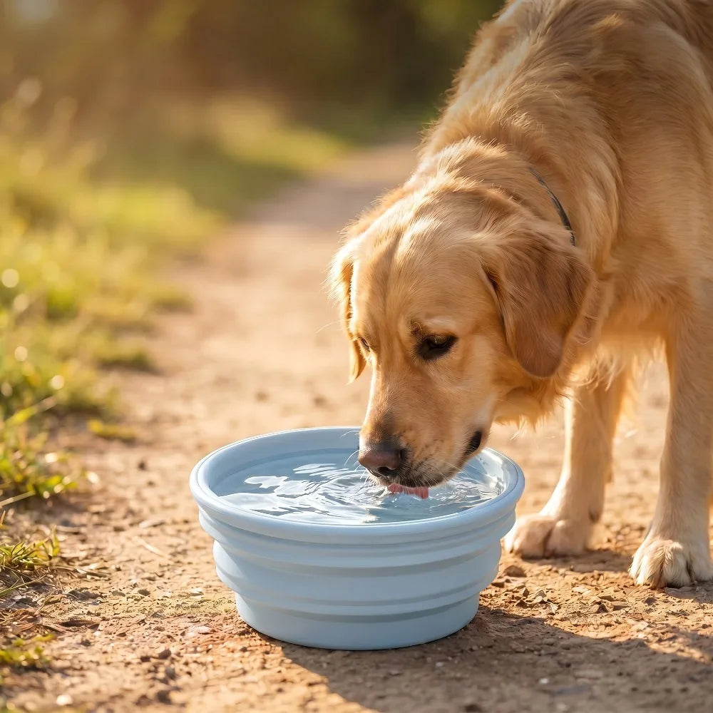 350ml/1000ml Collapsible Dog Bowl Outdoor - MyPetDollar.com