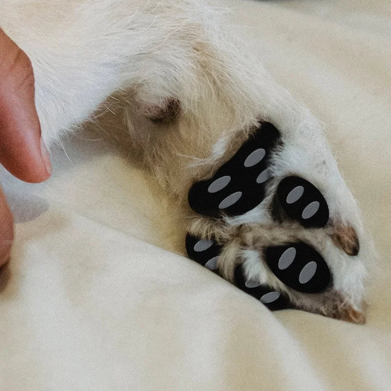 Anti-Slip Dog Paw Pads Detachable Pet Shoe - MyPetDollar.com