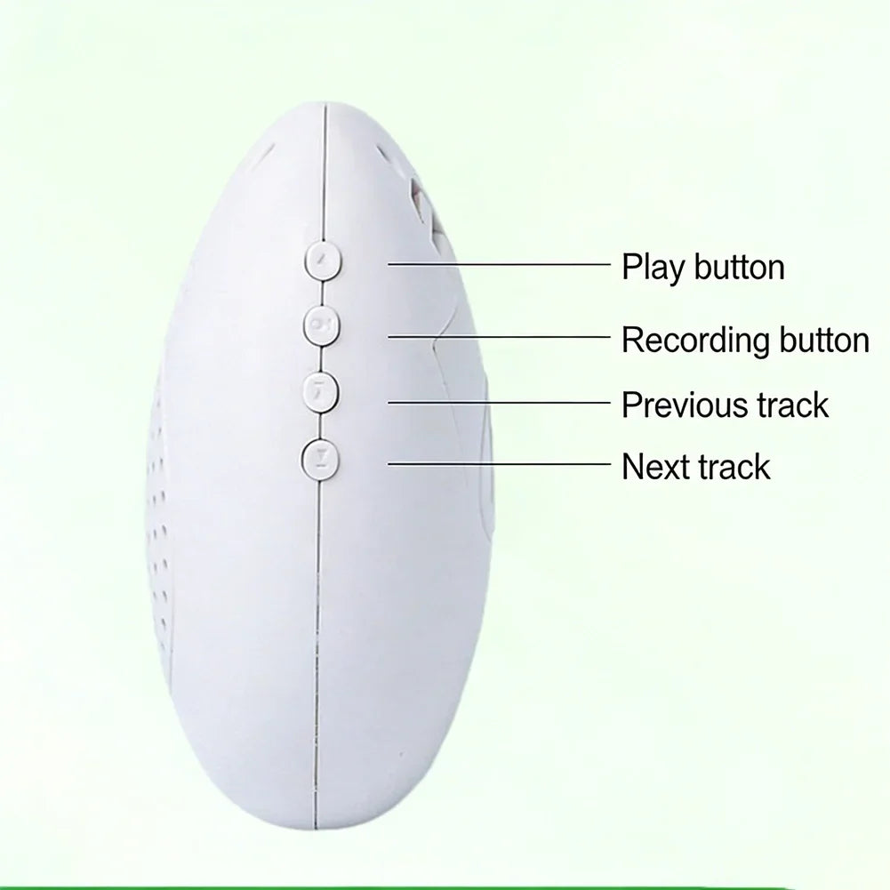 1Pc 6*8cm Interactive Recording Bird - MyPetDollar.com