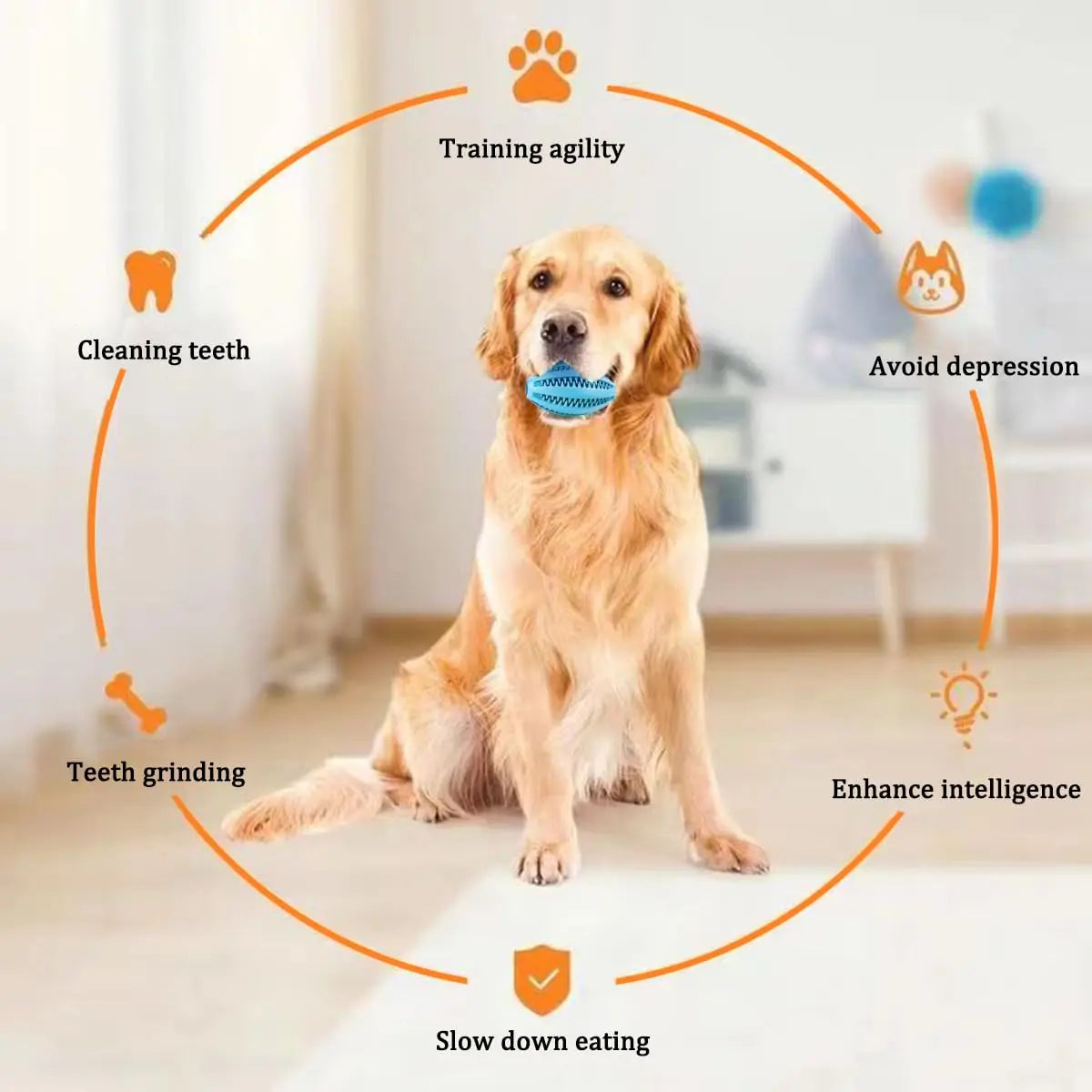 Pet Dog Chew Toys Teeth Cleaning Snack Ball - MyPetDollar.com