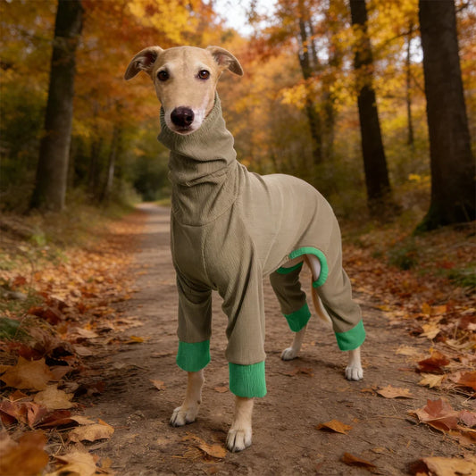 Turtleneck Dog Jumpsuit Soft Ribbed Knit Dog - MyPetDollar.com