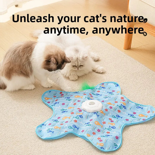 Cat Toys Interactive Hide and Seek Cat Toy - MyPetDollar.com
