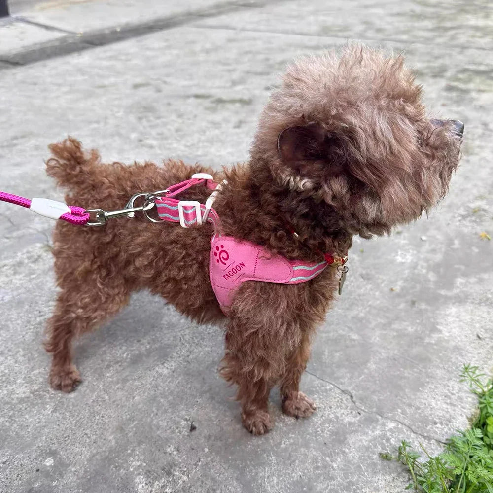Spring Summer Cat Puppy Harness Wear Simple - MyPetDollar.com