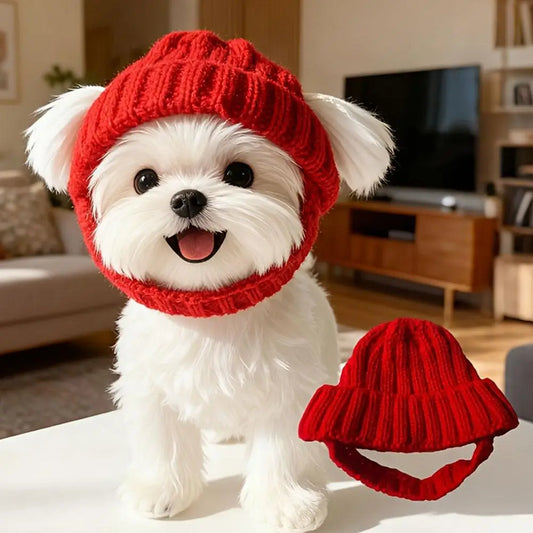 Pet Cat Hat Cute Cold Weather Windproof - MyPetDollar.com