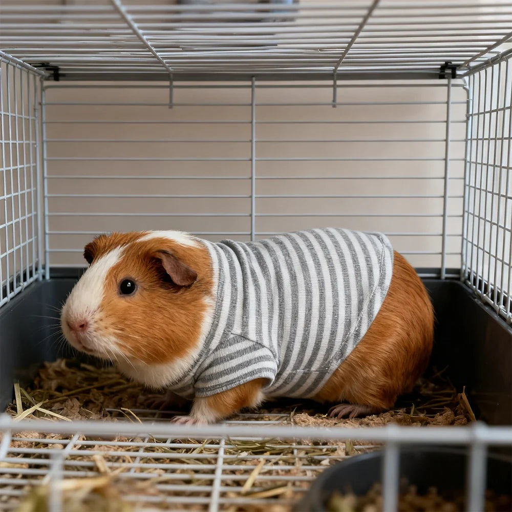 Guinea Pig Clothes Striped Small Pets - MyPetDollar.com