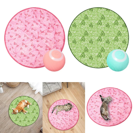 Cat Ball Hunting Exercise Mat Simulate Cat - MyPetDollar.com