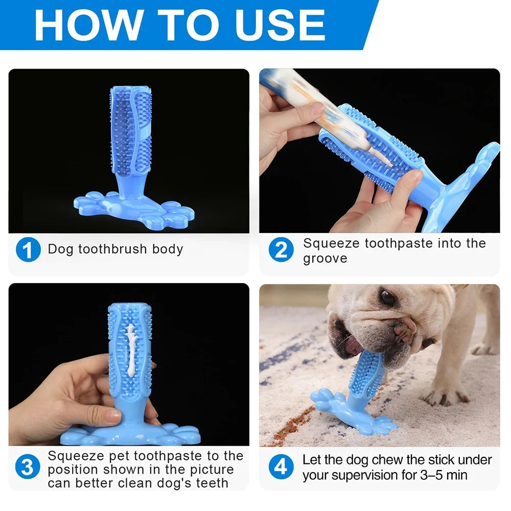 Pet Dog Cactus Interactive Rubber Bite - MyPetDollar.com