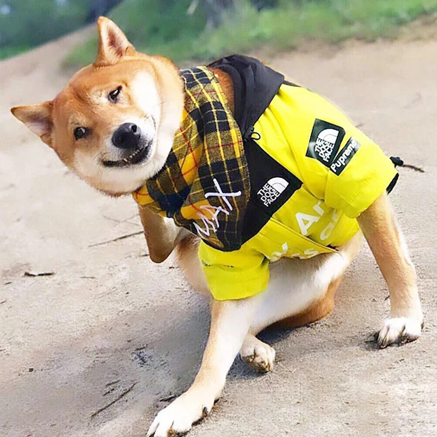 Pet Dog Waterproof Coat Dog Raincoat - MyPetDollar.com